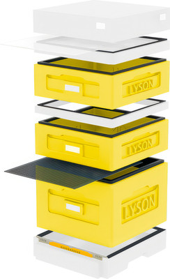 Улей, Дадан На 10 Рамок / WK1008YW
Улей, Дадан На 10 Рамок / WK1008YW