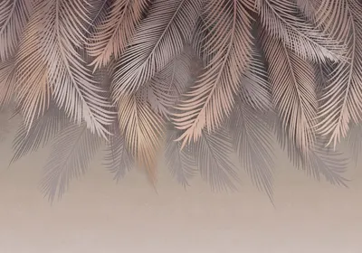 Фотообои листовые, Пальмовые листья 79
Фотообои листовые, Пальмовые листья 79