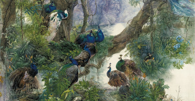 Фотообои листовые, Животные и Птицы 57
Фотообои листовые, Животные и Птицы 57