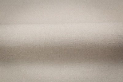 Виниловые обои, TC72460-22
Виниловые обои, TC72460-22