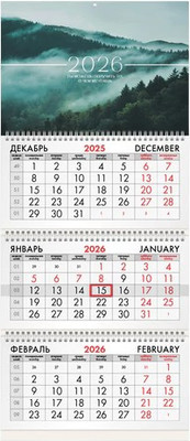 Календарь настенный, 2026г квартальный / 116808
Календарь настенный, 2026г квартальный / 116808