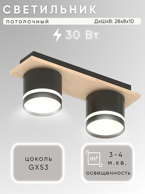 Потолочный светильник, X4516/2
Потолочный светильник, X4516/2