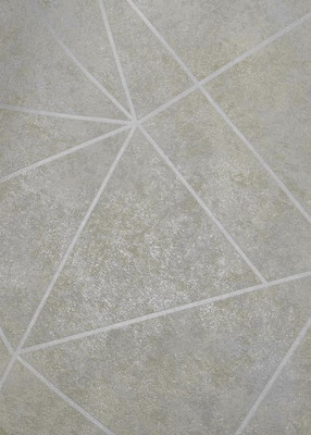 Виниловые обои, ТФ2-11-143-02
Виниловые обои, ТФ2-11-143-02