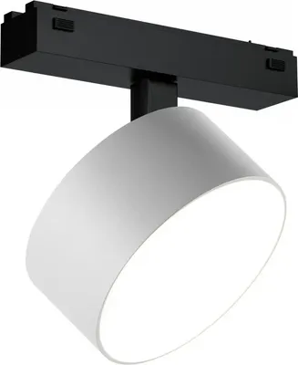 Трековый светильник, Vision 4825-047-D120-15W-110DG-4000K-WH
Трековый светильник, Vision 4825-047-D120-15W-110DG-4000K-WH