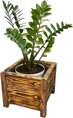 Кашпо, Напольное 35x35x30 / 2043331830265
Кашпо, Напольное 35x35x30 / 2043331830265