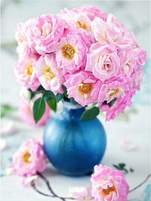 Набор алмазной вышивки, Розы в вазе / АЛМ-0031
Набор алмазной вышивки, Розы в вазе / АЛМ-0031