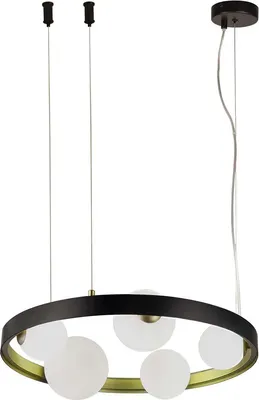 Потолочный светильник, Shanku 4628-5P
Потолочный светильник, Shanku 4628-5P