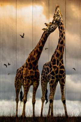 Картина White Wood, B112-V-084-135-2.13 
Картина White Wood, B112-V-084-135-2.13