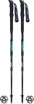 Трекинговые палки Masters, Sherpa / 01S2419
Трекинговые палки Masters, Sherpa / 01S2419