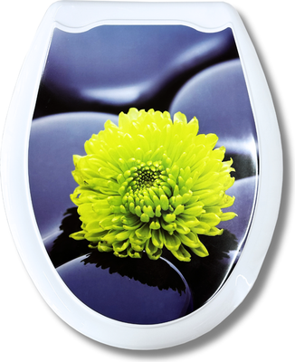 Сиденье для унитаза, Цветок 104-406-00
Сиденье для унитаза, Цветок 104-406-00