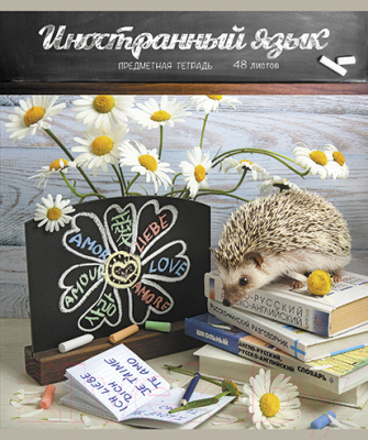 Тетрадь предметная Magic Lines, Тайная жизнь ежей. Иностранный язык / 28542
Тетрадь предметная Magic Lines, Тайная жизнь ежей. Иностранный язык / 28542