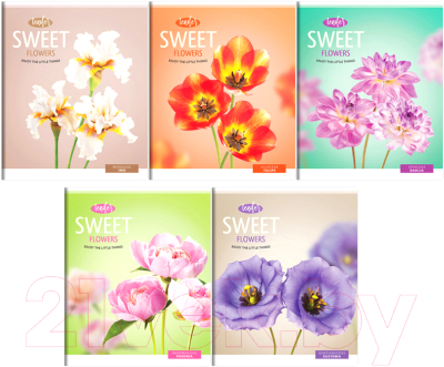 Тетрадь ArtSpace, Sweet Flower / Т96к_20978
Тетрадь ArtSpace, Sweet Flower / Т96к_20978