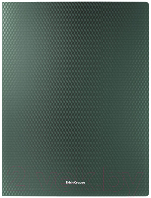 Папка-регистратор Erich Krause, Diamond Original / 49999
Папка-регистратор Erich Krause, Diamond Original / 49999