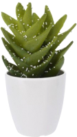 Искусственное растение, Кактус / 83750
Искусственное растение, Кактус / 83750