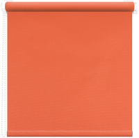 Рулонная штора АС МАРТ, Плейн 48x175
Рулонная штора АС МАРТ, Плейн 48x175