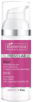 Крем для лица Bielenda Professional, Supremelab Essence Of Asia с маслом японской камелии SPF20
Крем для лица Bielenda Professional, Supremelab Essence Of Asia с маслом японской камелии SPF20