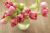 Картина по номерам РЫЖИЙ КОТ, Букет розовых тюльпанов / Х-3578
Картина по номерам РЫЖИЙ КОТ, Букет розовых тюльпанов / Х-3578