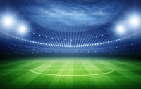 Фотообои листовые Citydecor, Стадион с защитным покрытием 
Фотообои листовые Citydecor, Стадион с защитным покрытием
