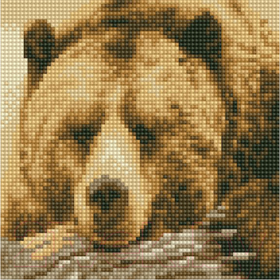 Набор алмазной вышивки PaintBoy, Бурый медведь / BF1117
Набор алмазной вышивки PaintBoy, Бурый медведь / BF1117