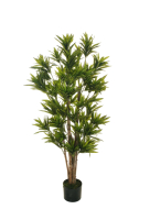 Искусственное растение Koopman, Драцена 80-335791
Искусственное растение Koopman, Драцена 80-335791