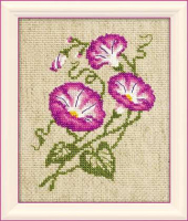 Набор для вышивания Риолис, Полевые вьюнки / 1251
Набор для вышивания Риолис, Полевые вьюнки / 1251