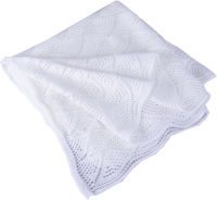 Плед Alesya, трикотажный 116x124 / 9464
Плед Alesya, трикотажный 116x124 / 9464