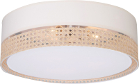 Потолочный светильник TK Lighting, Paglia 6691