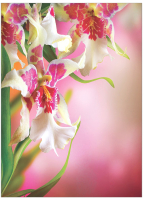 Набор текстиля для спальни JoyArty, bcsl_2737_160x220
Набор текстиля для спальни JoyArty, bcsl_2737_160x220