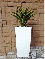 Искусственное растение, BF01221
Искусственное растение, BF01221