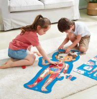 Развивающая игра, Как устроено тело человека / E1635_HP
Развивающая игра, Как устроено тело человека / E1635_HP