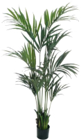 Искусственное растение, 80-371423
Искусственное растение, 80-371423