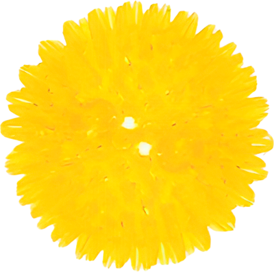 Игрушка для собак, Мяч с пищалкой / 70102
Игрушка для собак, Мяч с пищалкой / 70102