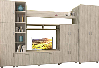 Стенка Иволанд Трейд, №5
Стенка Иволанд Трейд, №5