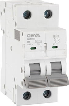 Выключатель автоматический, GYM9H-2P-4D
Выключатель автоматический, GYM9H-2P-4D