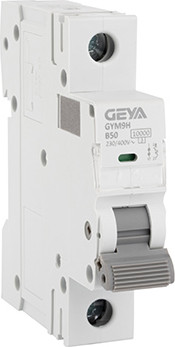 Выключатель автоматический, GYM9H-1P-50B
Выключатель автоматический, GYM9H-1P-50B