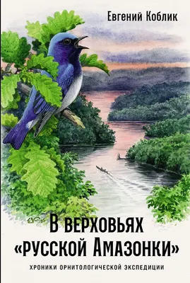 Книга, В верховьях русской Амазонки
Книга, В верховьях русской Амазонки