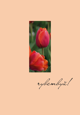 Ежедневник, Чувствуй! Недатированный
Ежедневник, Чувствуй! Недатированный