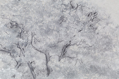 Виниловые обои, Home Color Taina lesa PRO HC72463-14
Виниловые обои, Home Color Taina lesa PRO HC72463-14