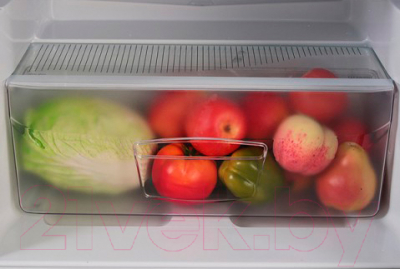 Холодильник с морозильником Indesit TT 85 T