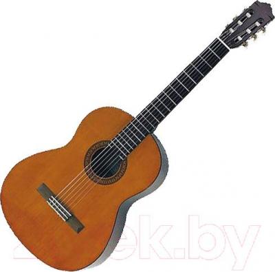 Акустическая гитара Jay Turser JJC-45 - общий вид