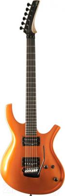 Электрогитара Parker Guitars PDF70TNG - общий вид