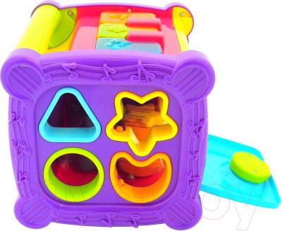 Сортер RedBox Куб для малышей 25513 - общий вид