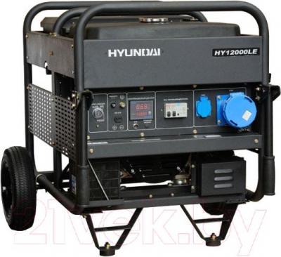 Бензиновый генератор Hyundai HY12000LE ATS - общий вид