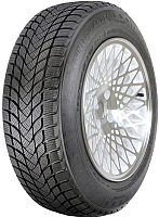 

Зимняя шина, Winter Lander 205/60R16 96H