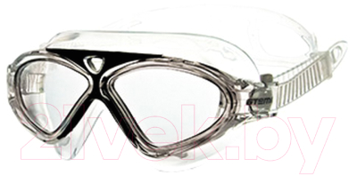 Очки для плавания Atemi Z201 (черный/серый)