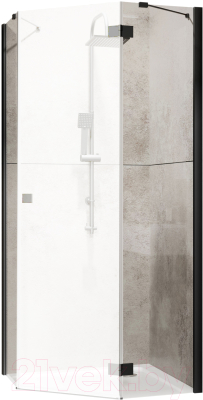 

Душевая дверь Radaway, Essenza New Black PTJ 90 ZS / 385050-54-01