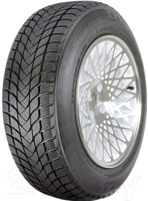 Зимняя шина Landsail Winter Lander 205/50R17 93H