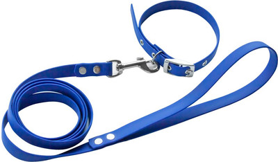 Ошейник с поводком ZOONIK 13620-03 (синий) - 
