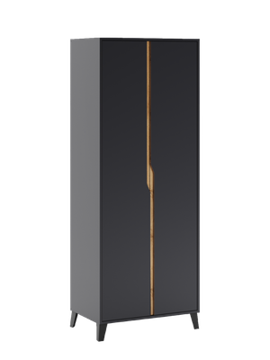 Шкаф Eligard Eyva 2D (графит) -