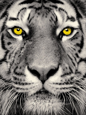 

Ковер, Фэнси 20765 22045